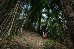 BIB: 
                            <button type="button" onclick="openModal(19395711)" class="btn btn-primary btn-sm float-right btn-popup" data-toggle="modal" data-target=".modal-high-quality">
                        <i class="fas fa-shopping-cart"></i> Add to Cart
                    </button>
                                            <button type="button" onclick="isThisMe(19395711, true)" class="btn btn-success btn-sm float-right btn-popup btn-isme hidden" data-toggle="tooltip" data-placement="bottom" title="นี่คือรูปของคุณใช่ไหม คลิกที่นี่เพื่อเอาเข้าอัลบั้ม">
                        <i class="fas fa-plus"></i> Add to album
                    </button>
                    <button type="button" onclick="isThisMe(19395711, false)" class="btn btn-warning btn-sm float-right btn-popup btn-isnotme hidden">
                        <i class="fas fa-ban"></i> Remove from album
                    </button>